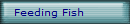 Feeding Fish