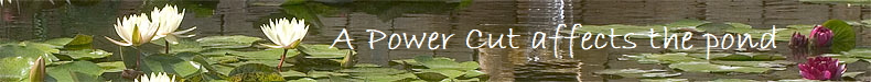                         A Power Cut affects the pond