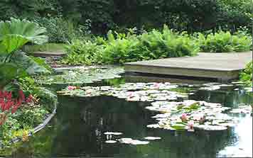 wgs_page_bannerpic-m